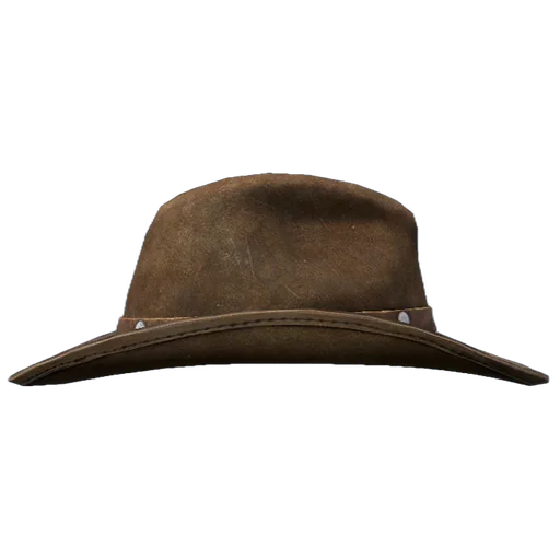 Ковбойская шляпа, dark Brown