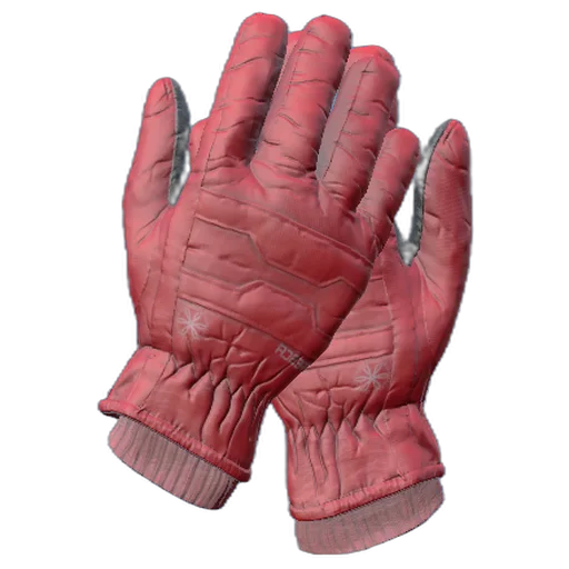 Лыжные перчатки