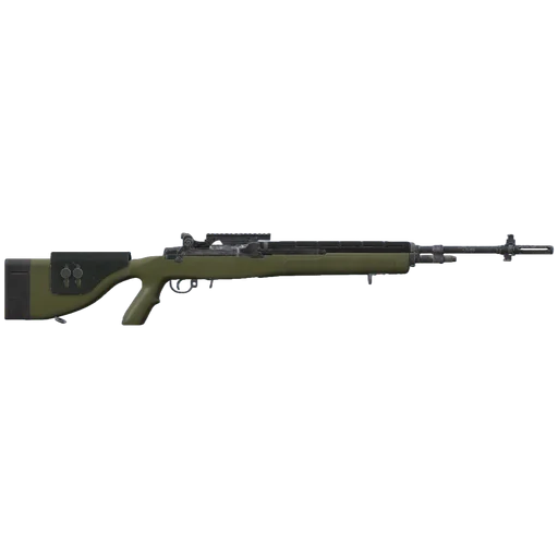 DMR