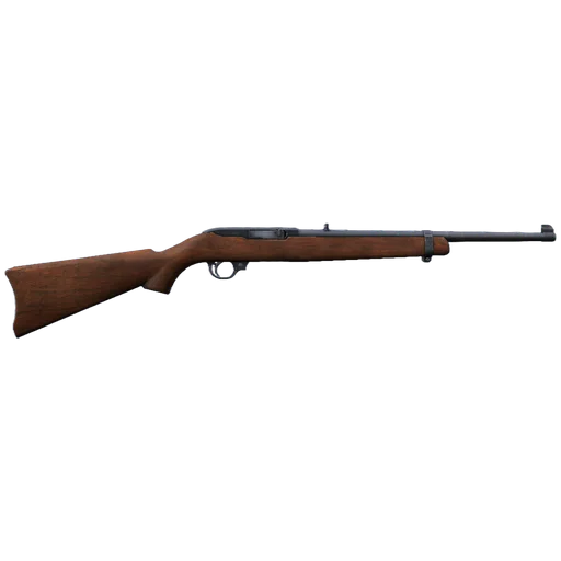 Sporter 22