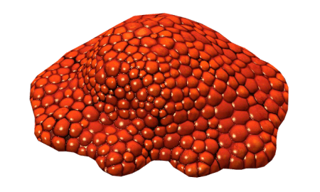 Красная икра