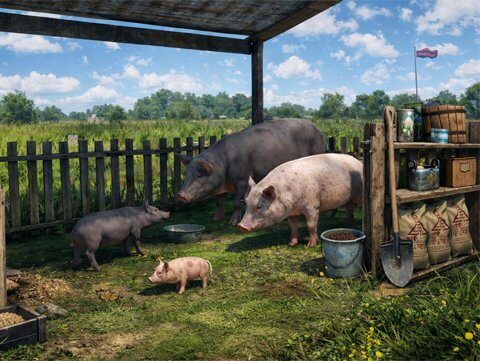 Свинарник в DayZ