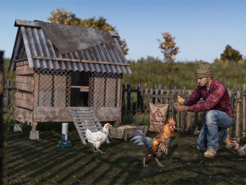 Курятник в DayZ