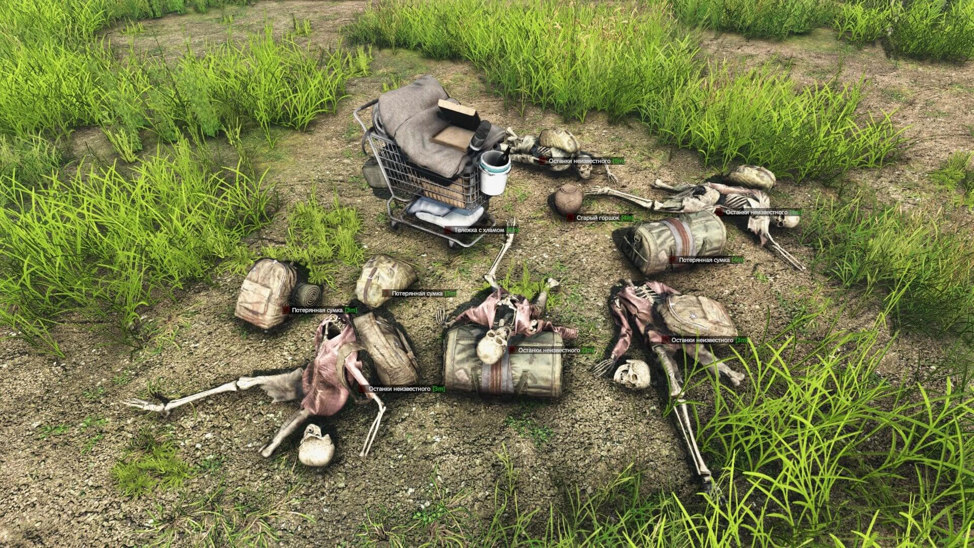 Тайники: останки, сумки и находки