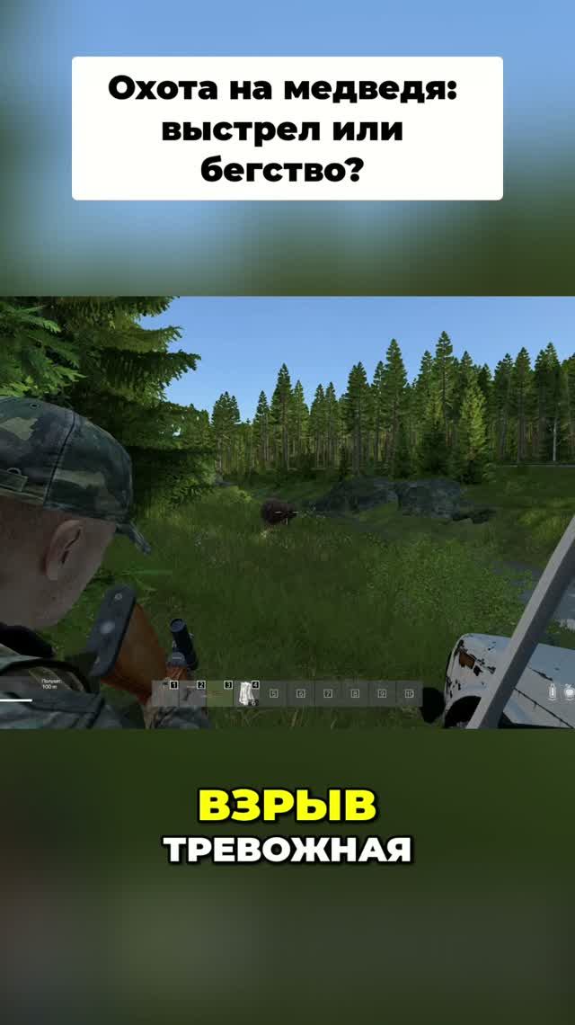 Охота на медведя: игрок против дикой природы!
