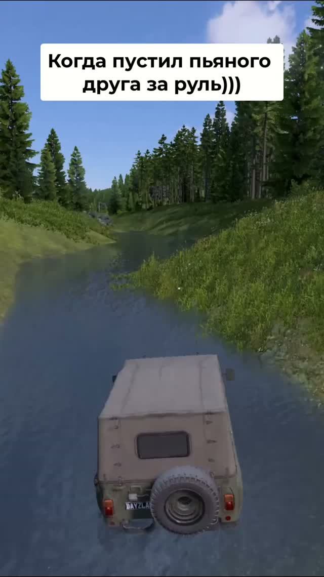 Трезвые водители в DayZ? Не, не слышали! | DayZLand
